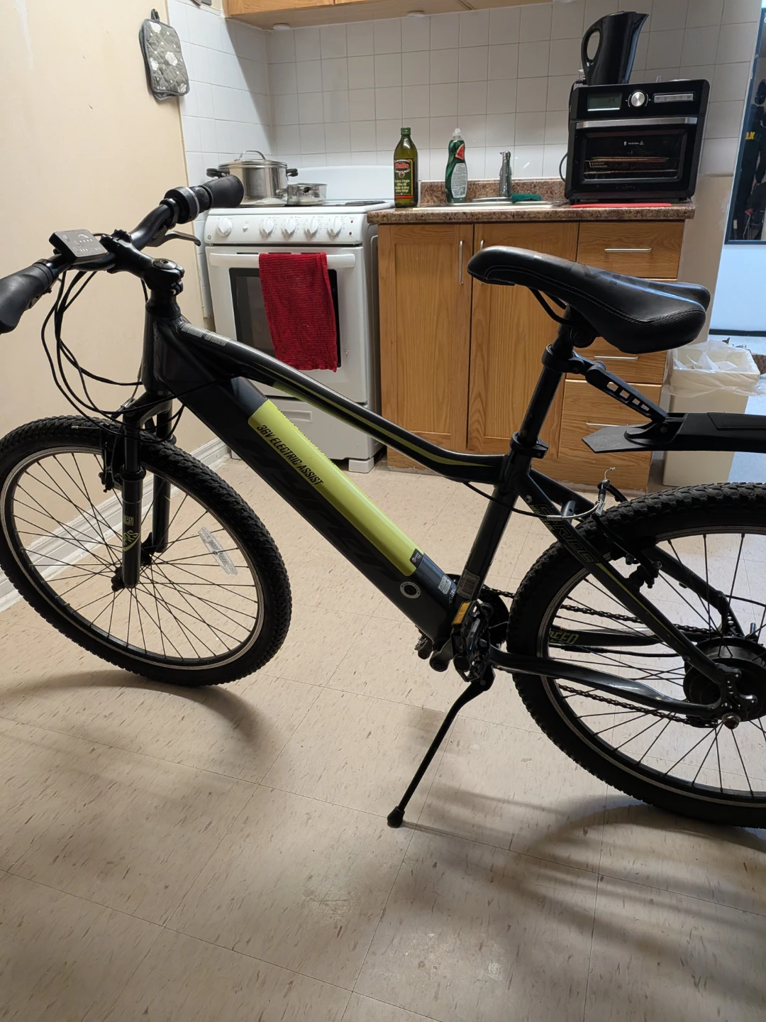 Electric Assist Mountain Bike
