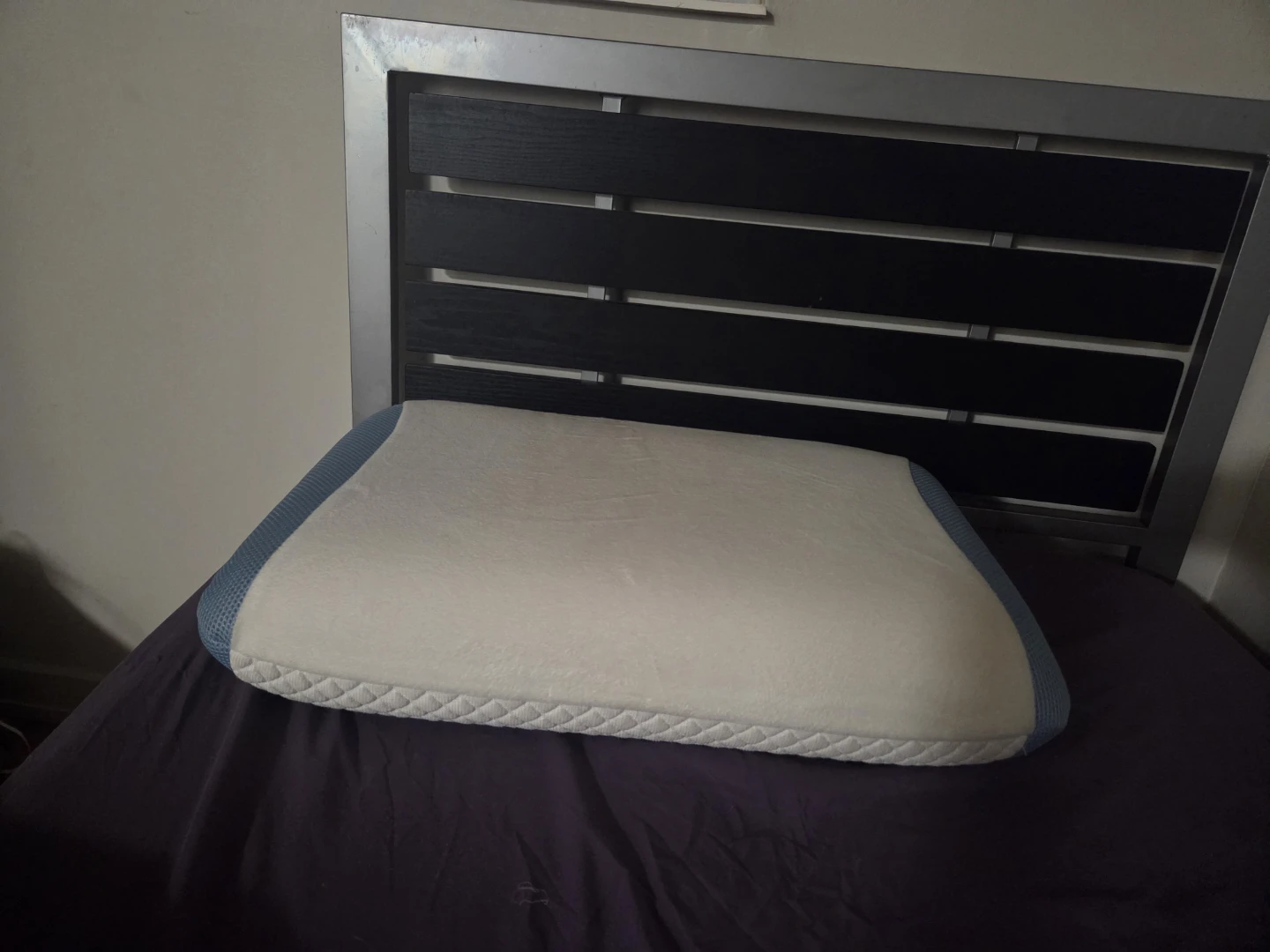 Polar Tropic  Pillow