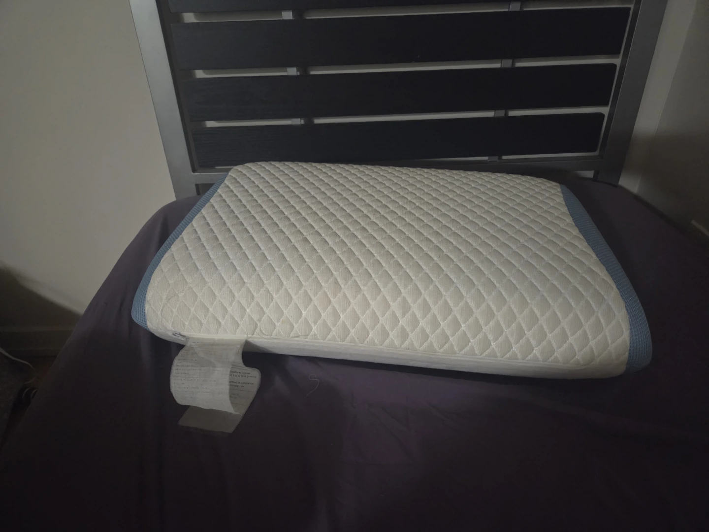 Polar Tropic  Pillow - photo 2