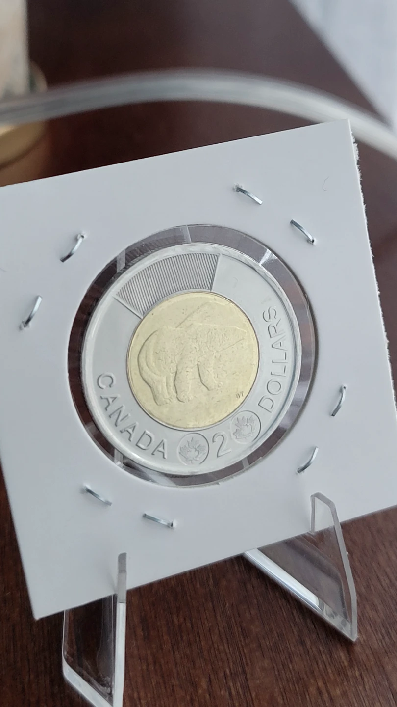 1996-2026 30th Anniversary of the Toonie - photo 2
