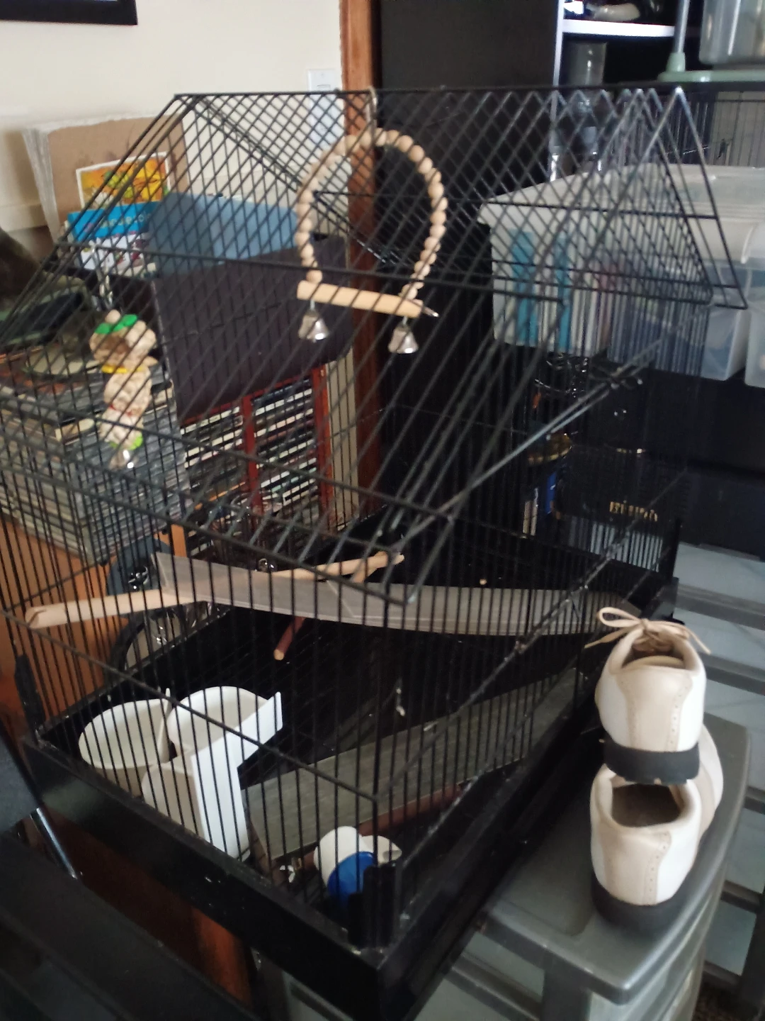 Black Bird Cage with Perches and Food Cups