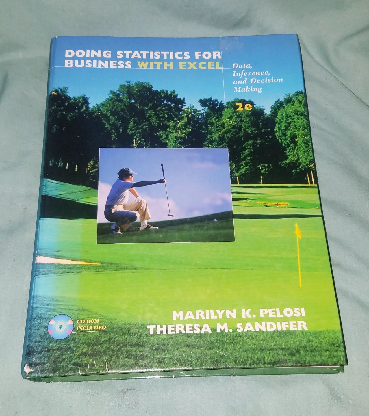 Doing Statistics for Business with Excel With Unused CD