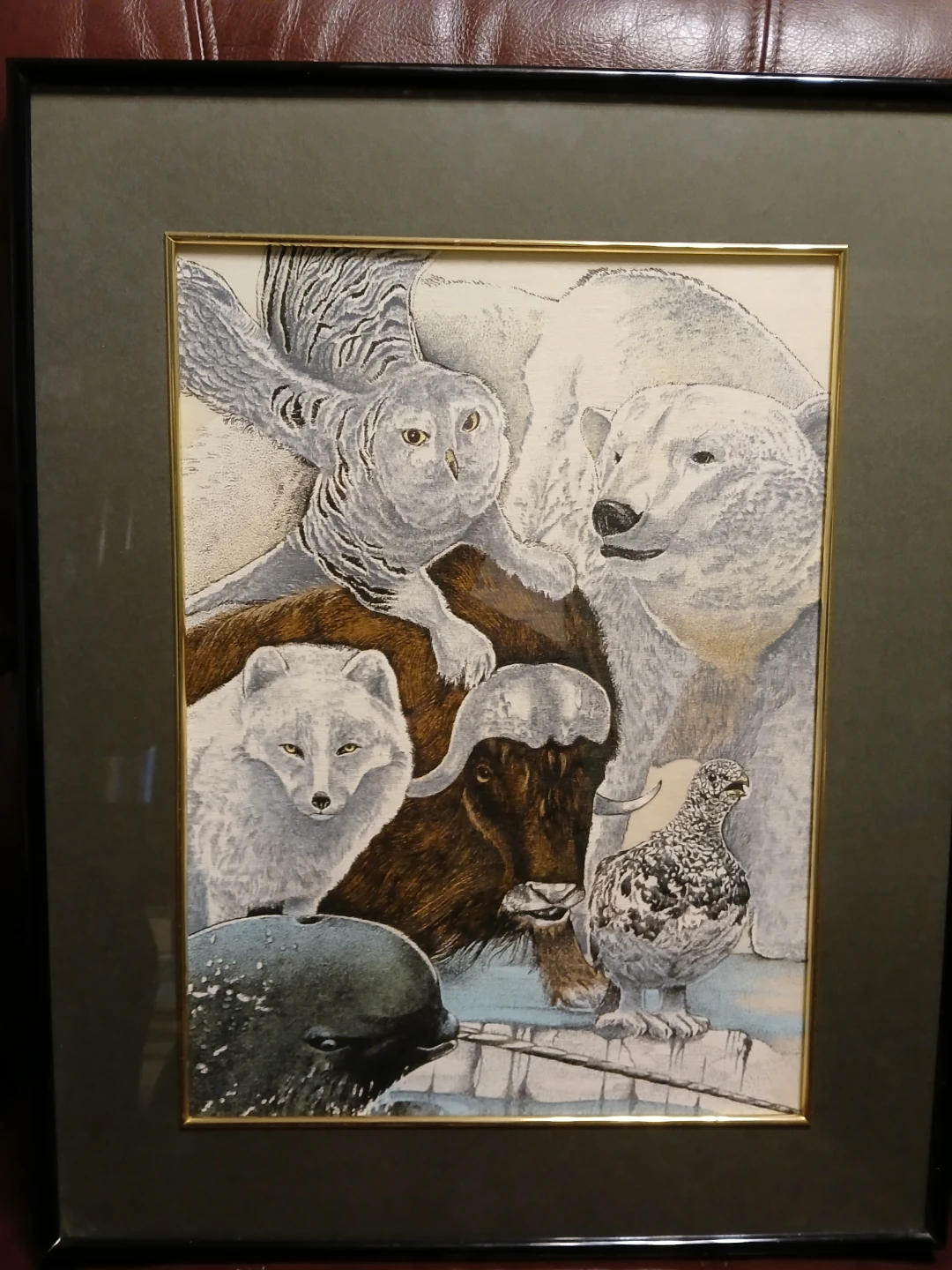 Framed Art Print of Canadian Wildlife