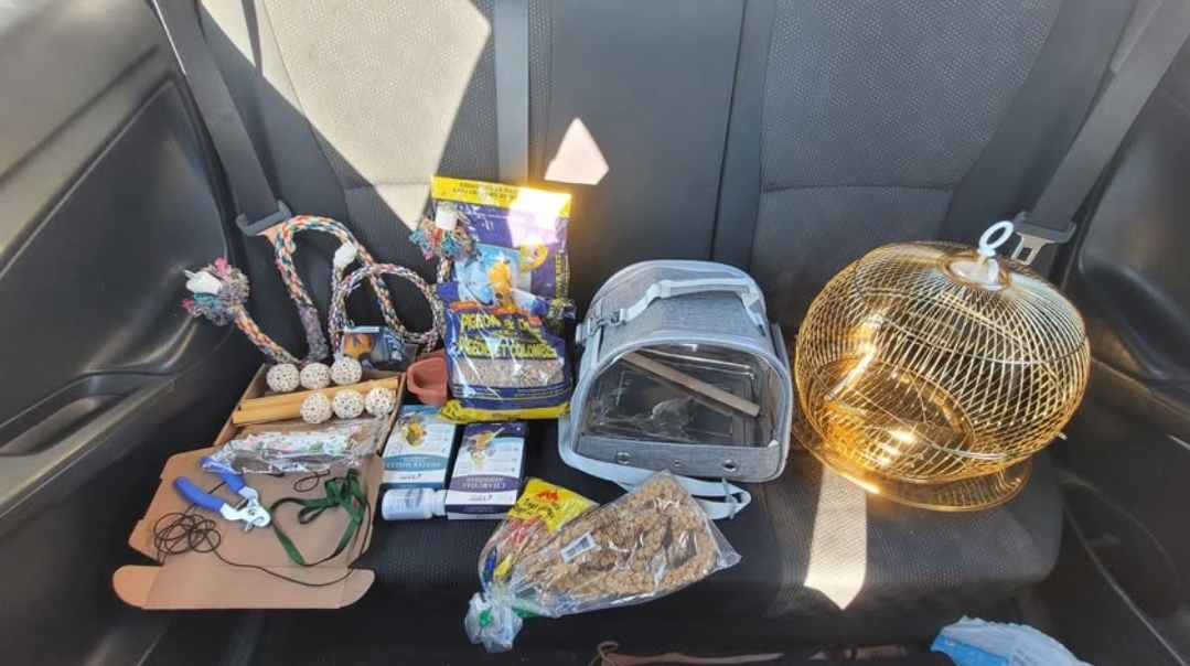 Assorted Bird Accessories and Supplies Lot