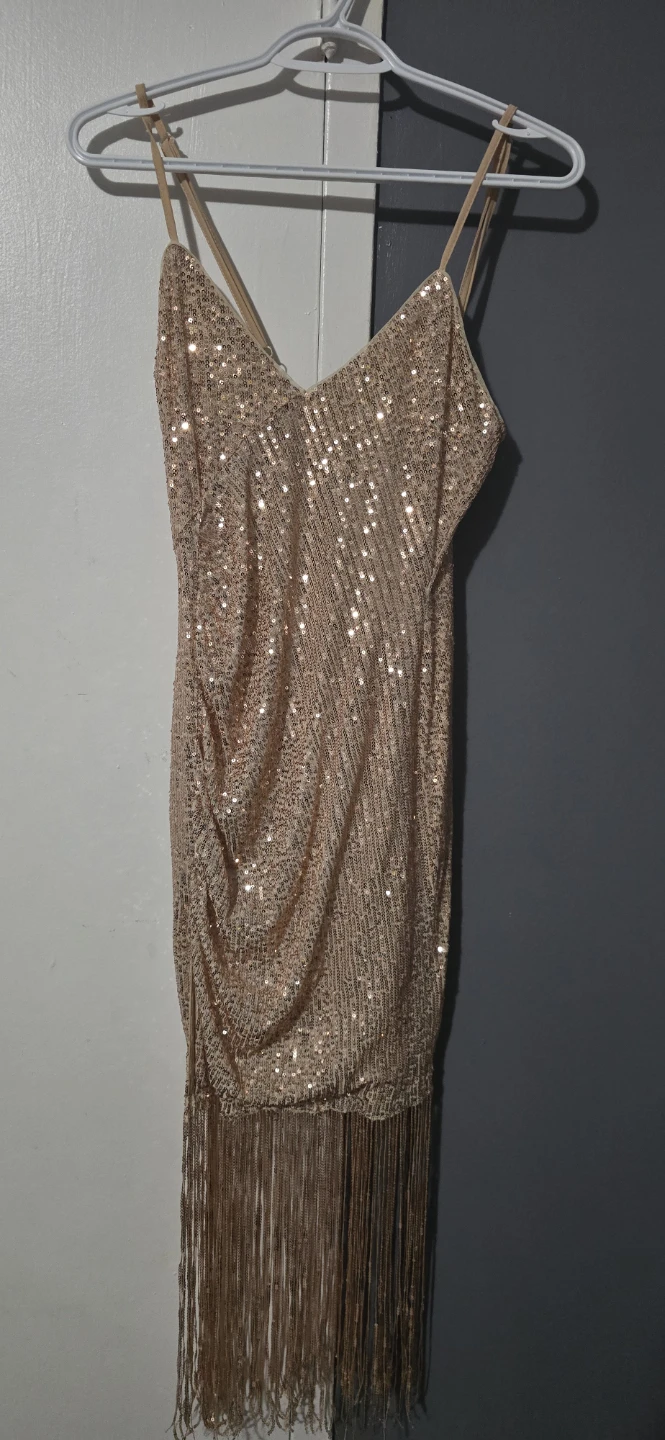 Sequin Fringe Mini Dress