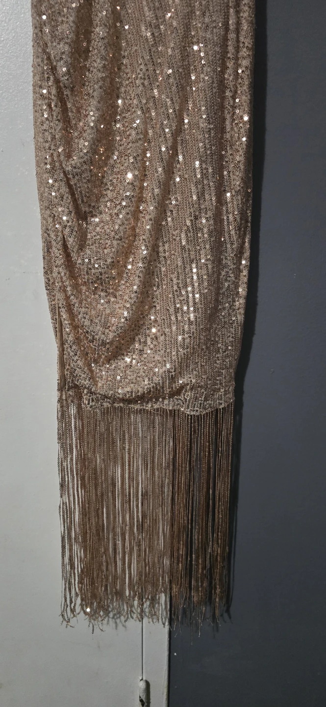 Sequin Fringe Mini Dress - photo 3