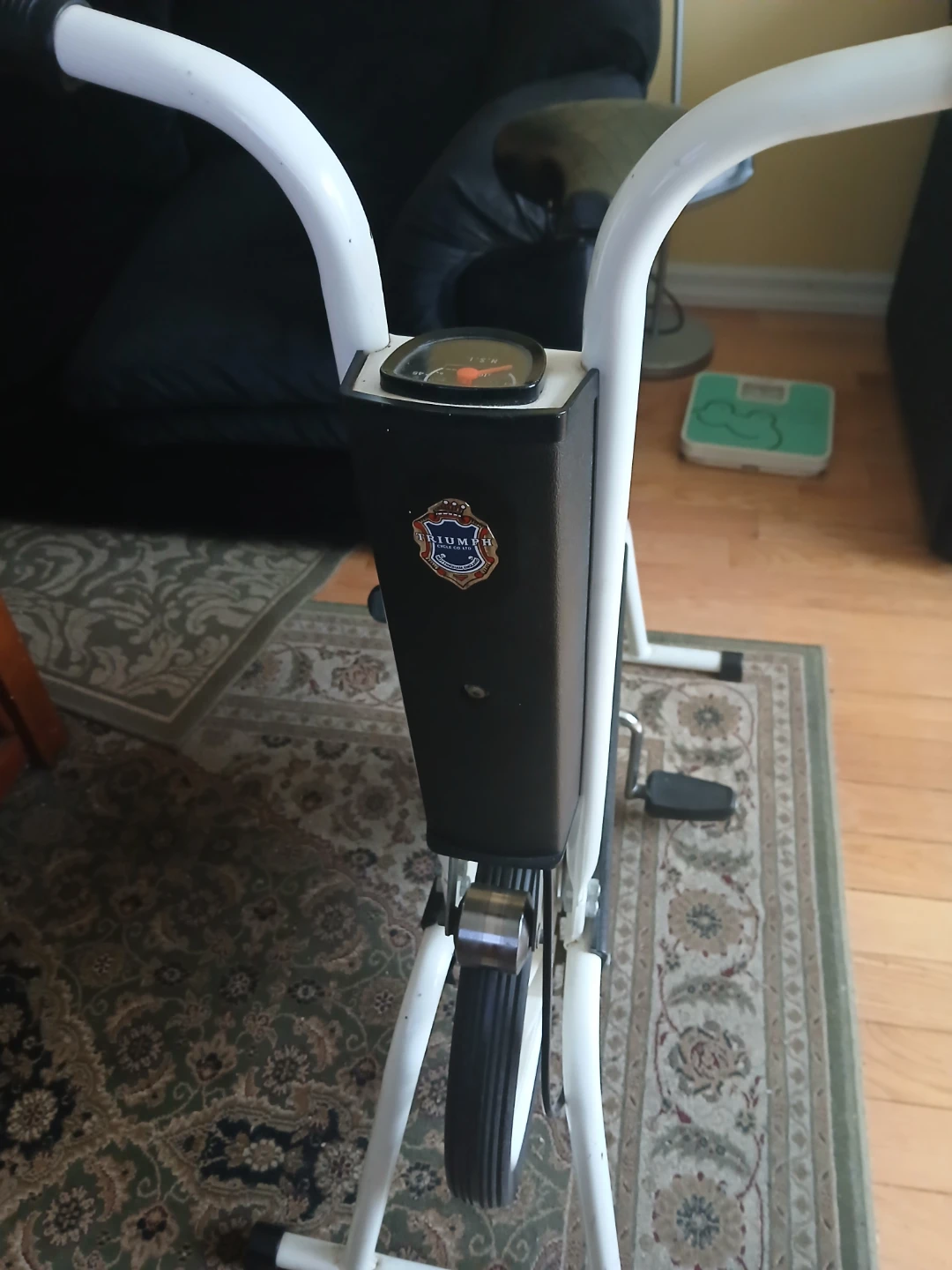 Triumph Deluxe Exercise Bike - photo 4