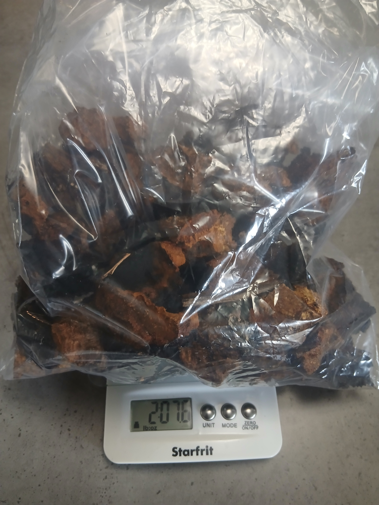 Chaga Mushroom Pieces - photo 5