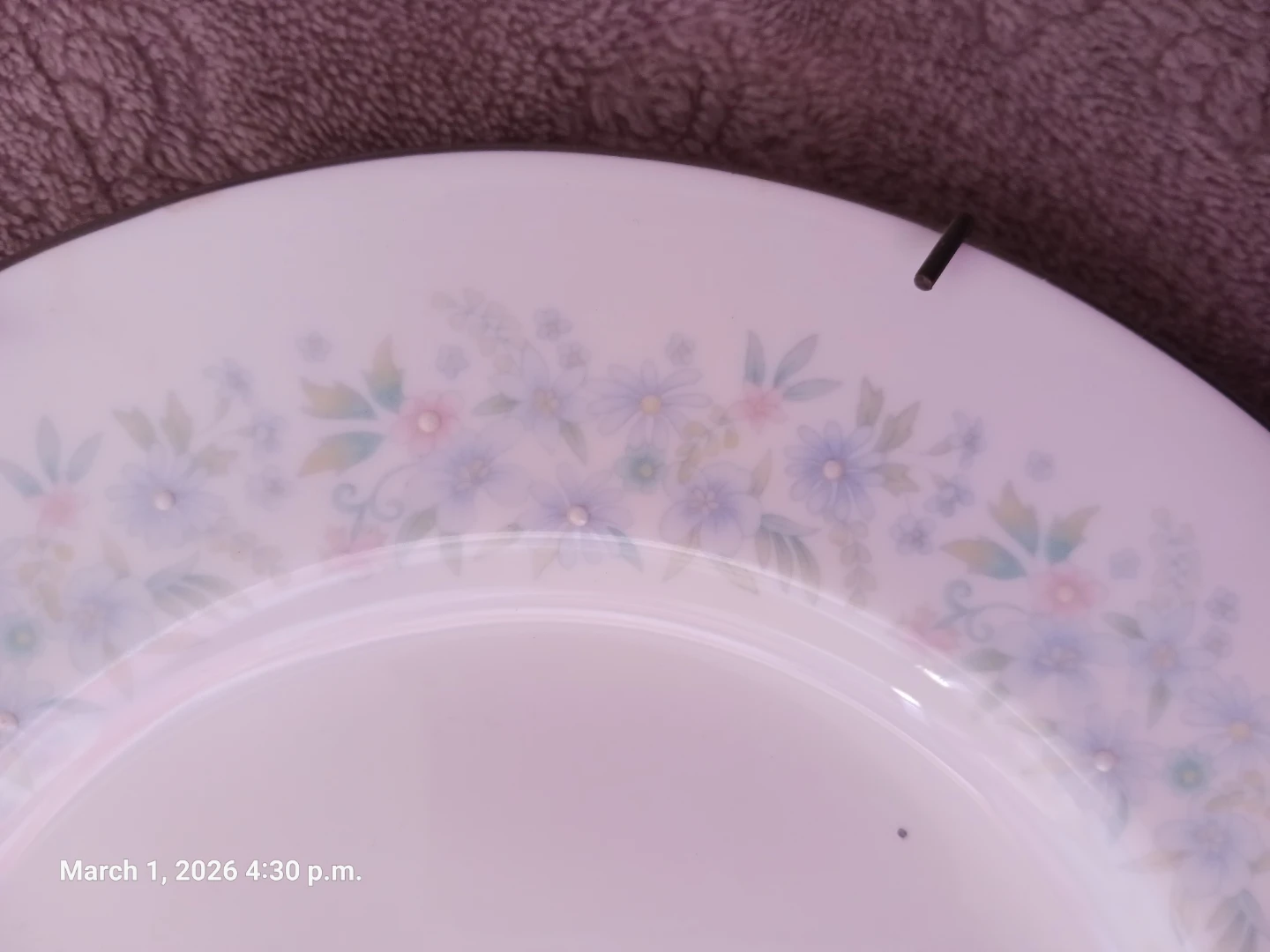 WEDGWOOD Wyndham Bone China Plate - photo 3