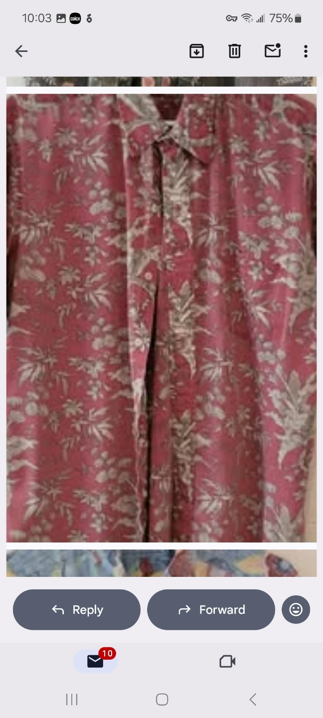 Reyn Spooner Hawaiian Shirts (L, XL)