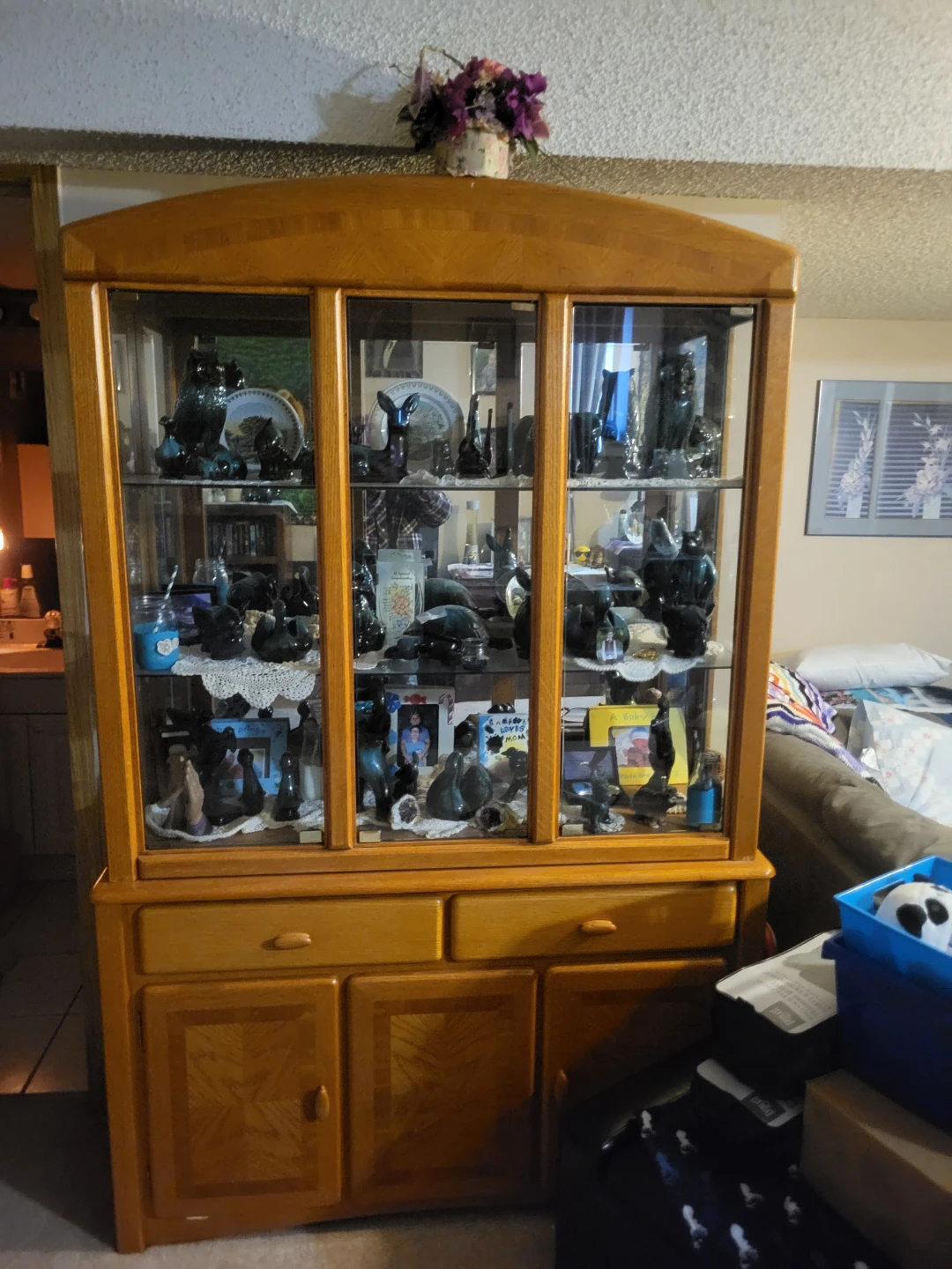 Solid Wood Display Cabinet with Glass Doors