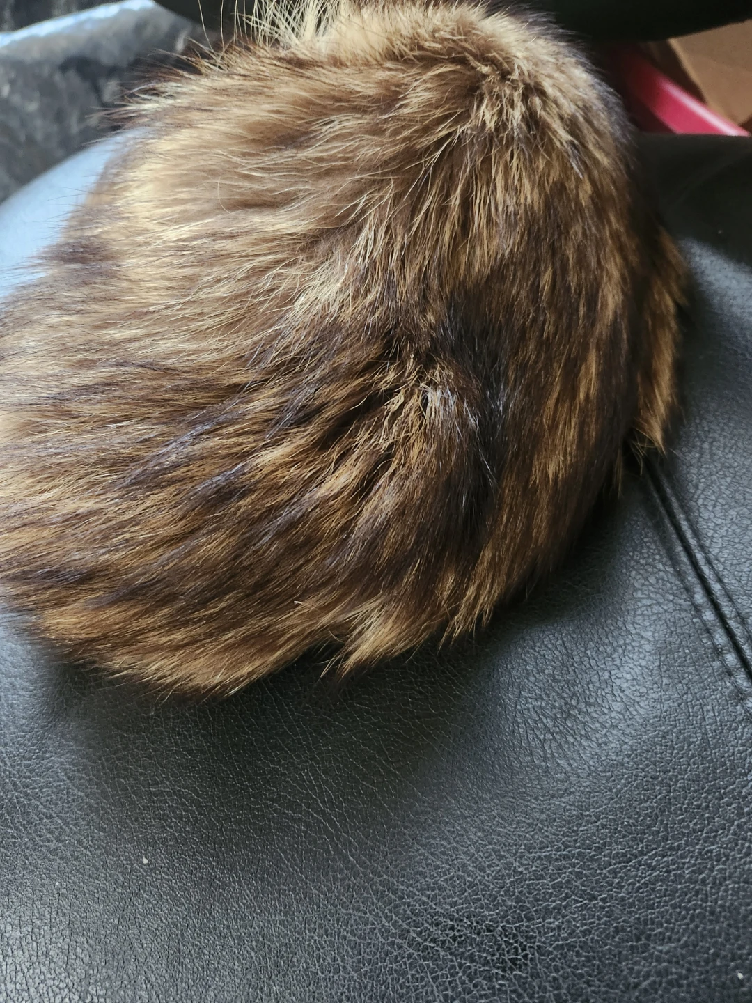Vintage Evans Chicago Fur Stole - photo 3