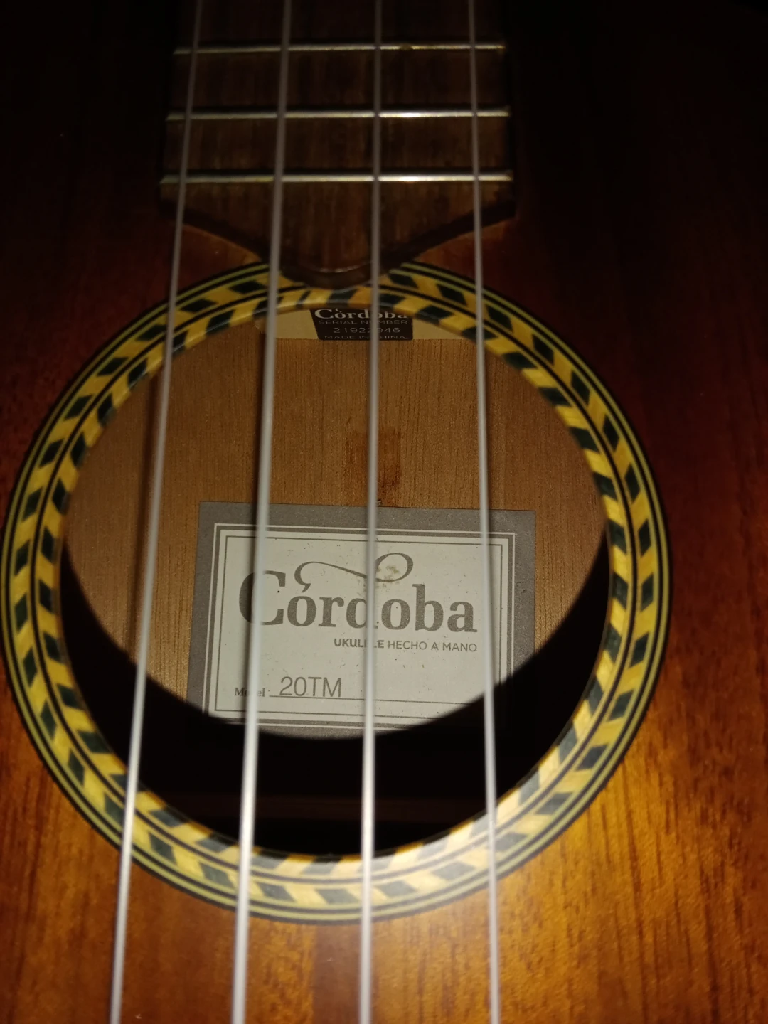 Cordoba 20TM Ukulele - photo 2
