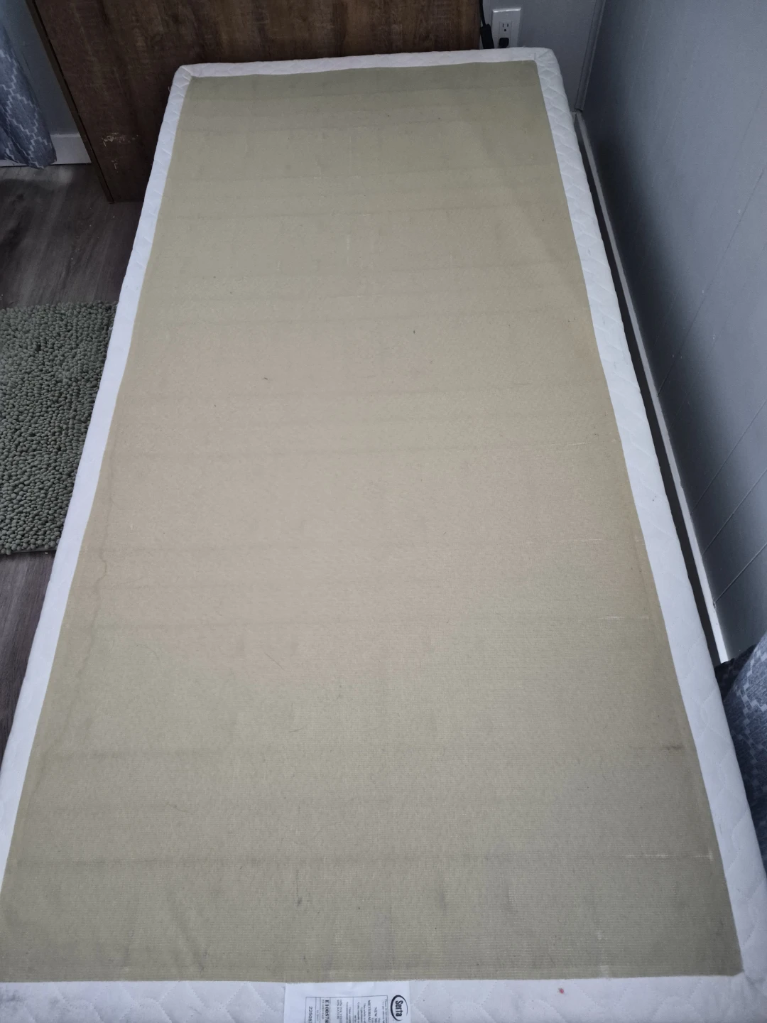 Sealy Twin Mattress