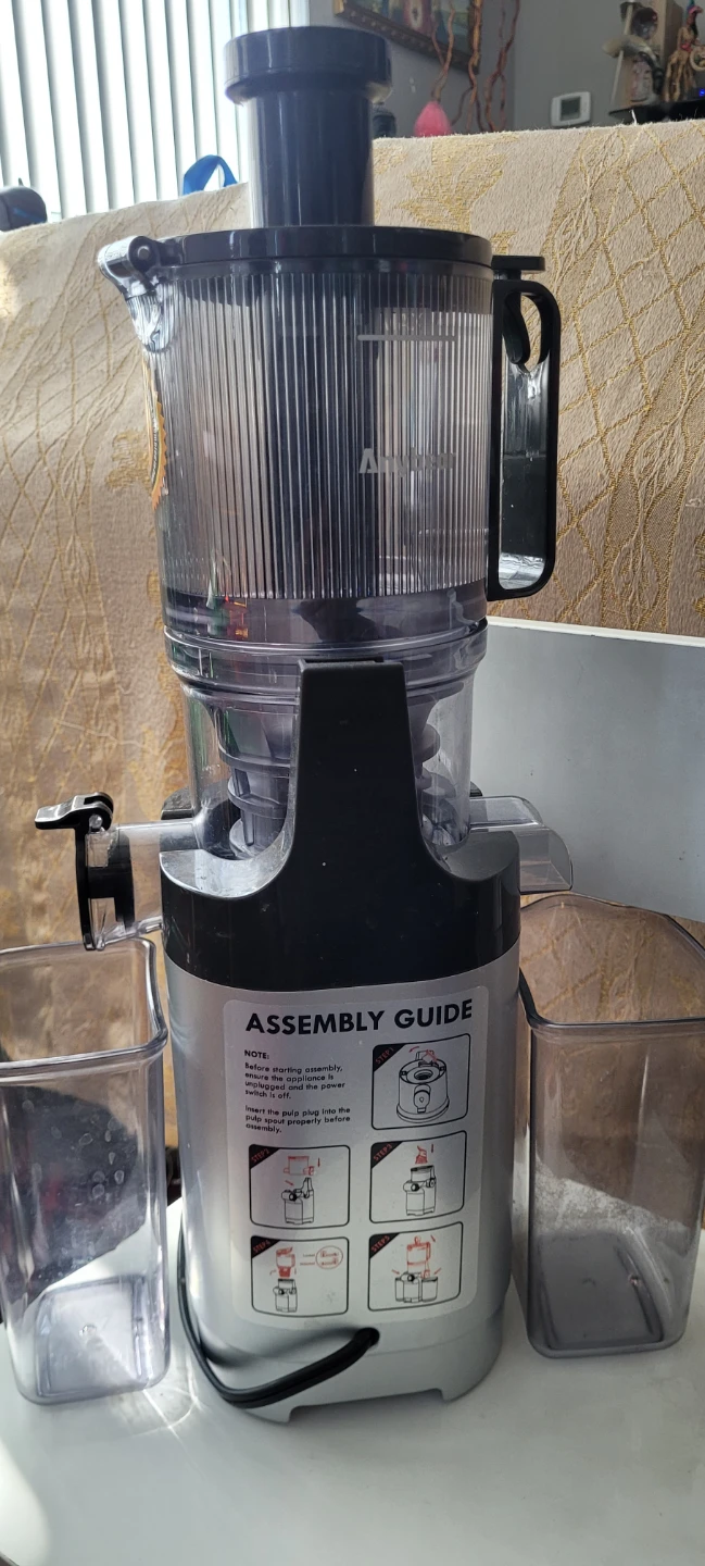 Anybear Whole Slow Juicer Master SJ-054C