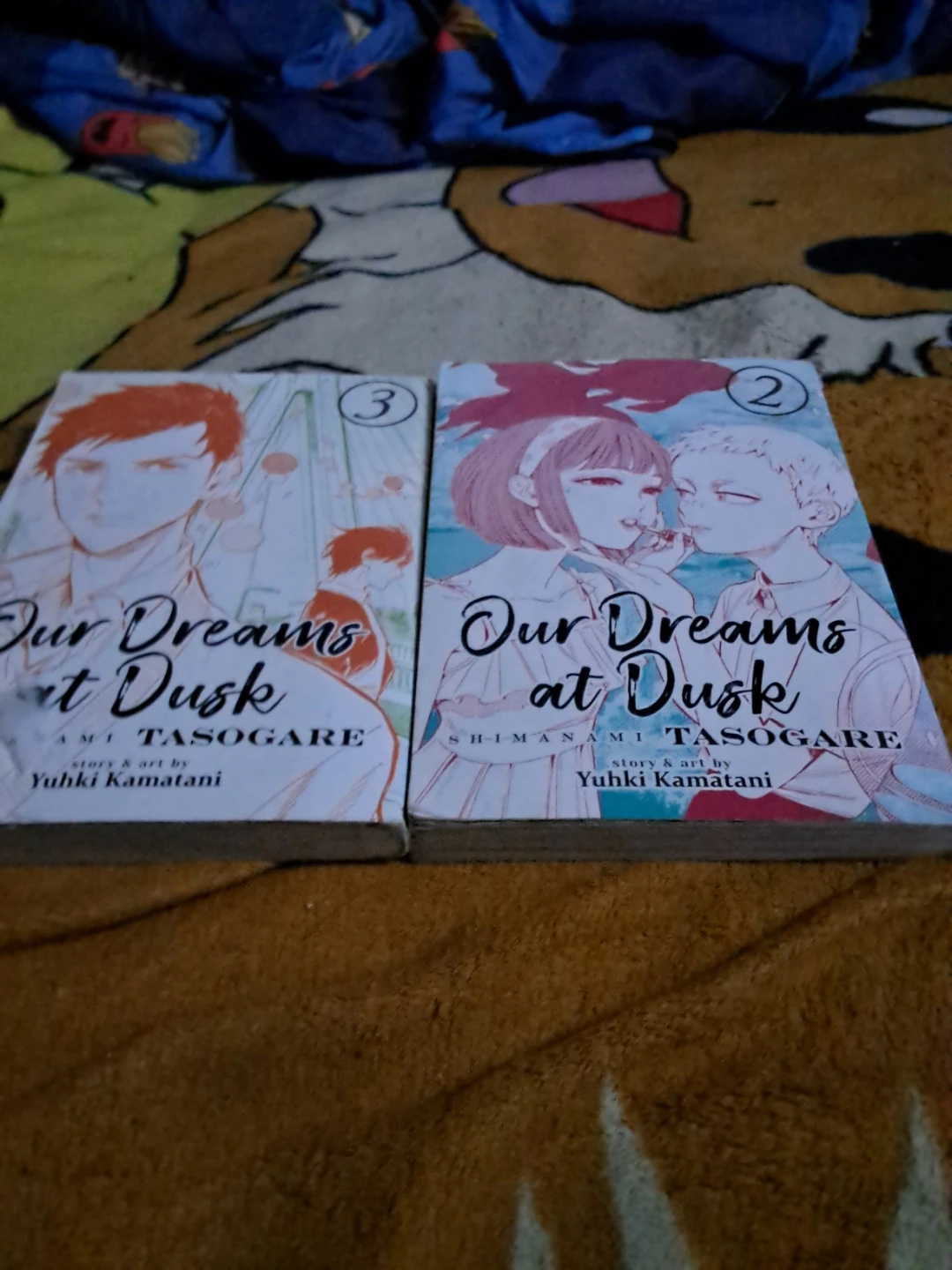 Our Dreams at Dusk Manga Volumes 2 & 3