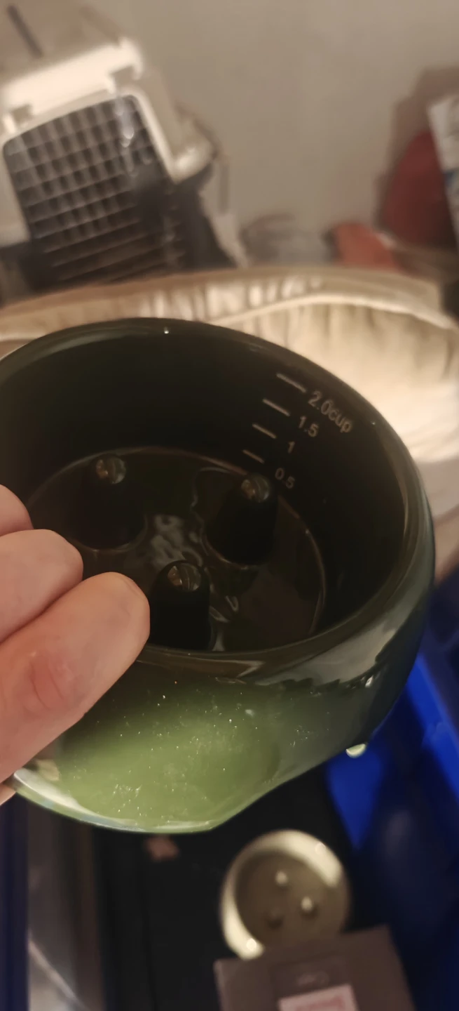 Green Ceramic Pet Bowl Slow Feeder 2 Cup
