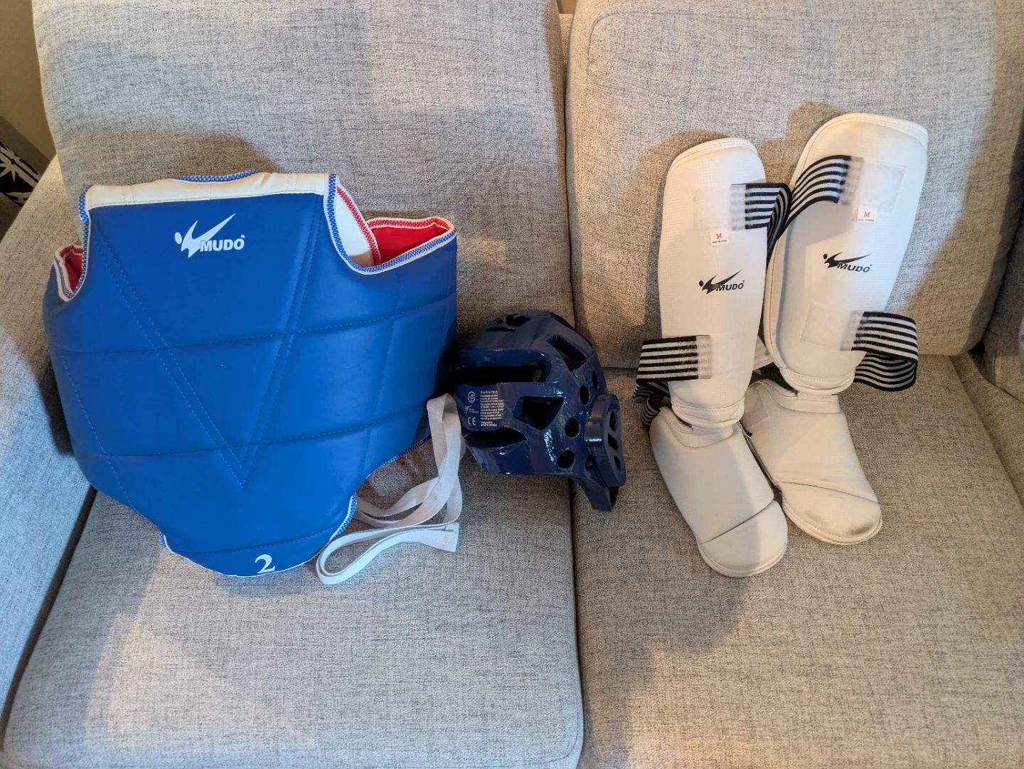 Mudo sparring gear