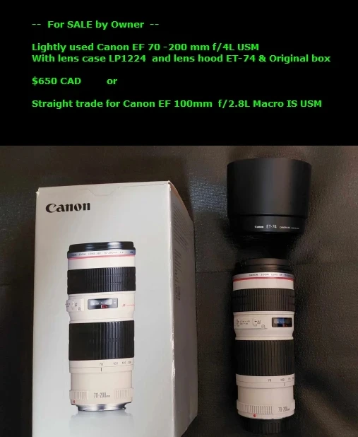 Canon EF 70-200mm f/4L USM Lens with Case, Hood, and Box