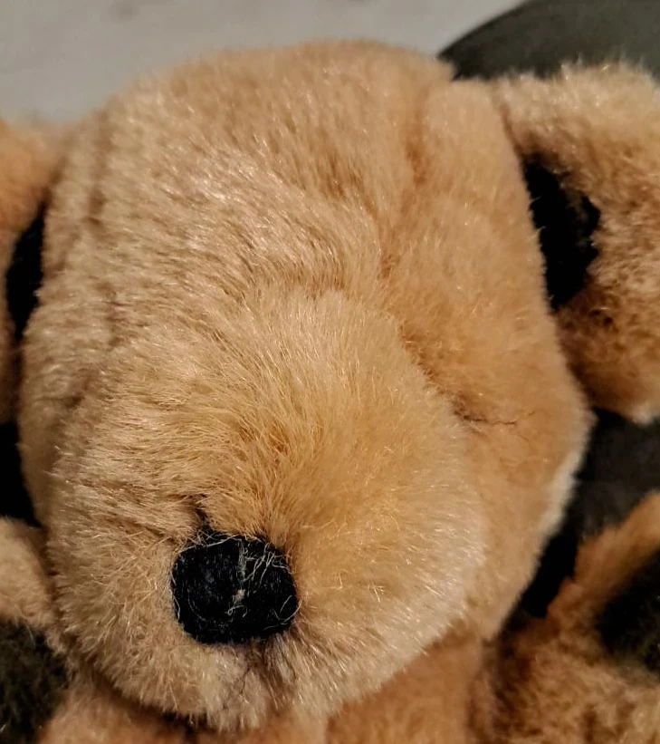 GUND Plush Dog - photo 2