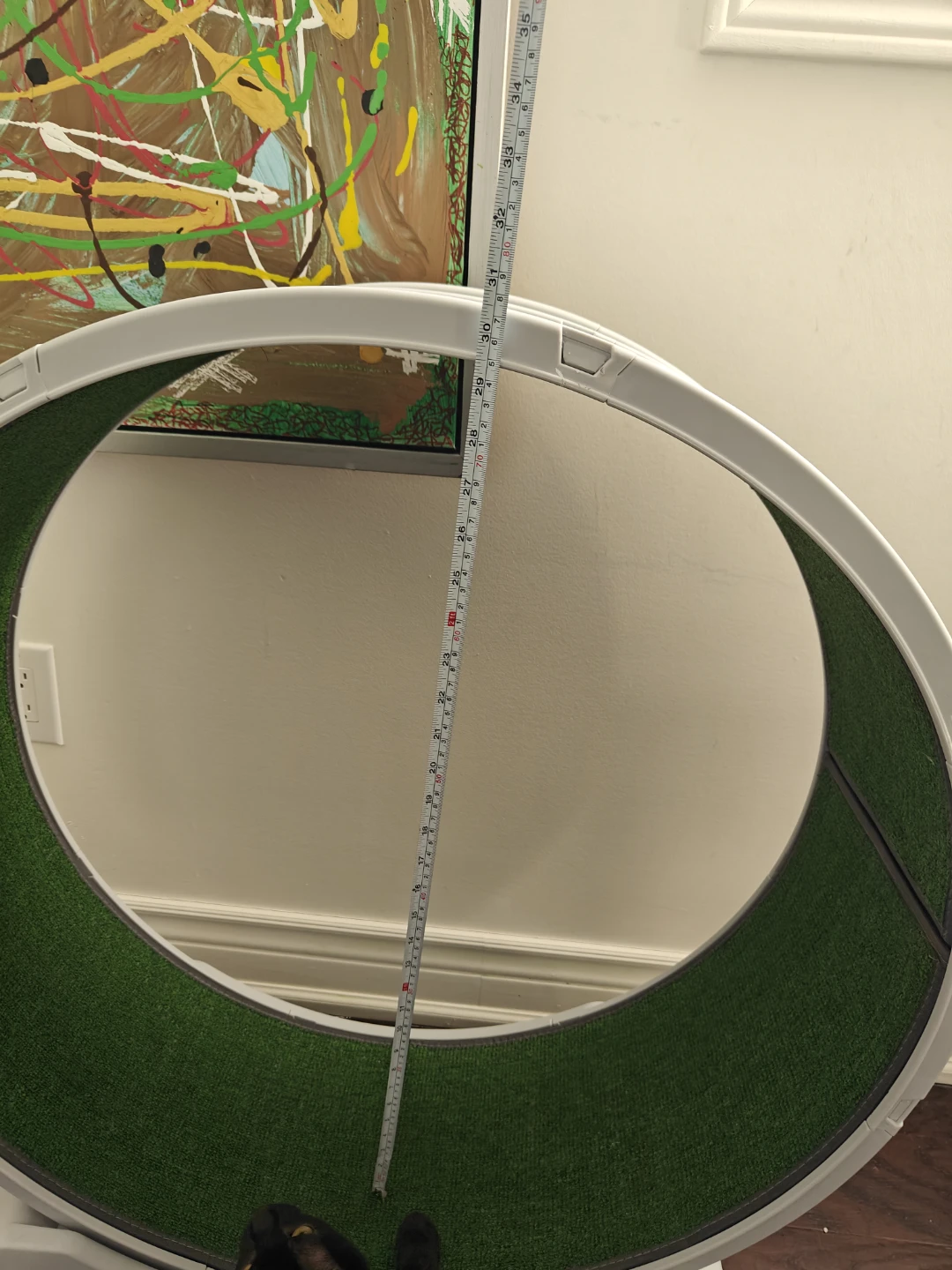 Cat Treadmill Wheel - photo 2