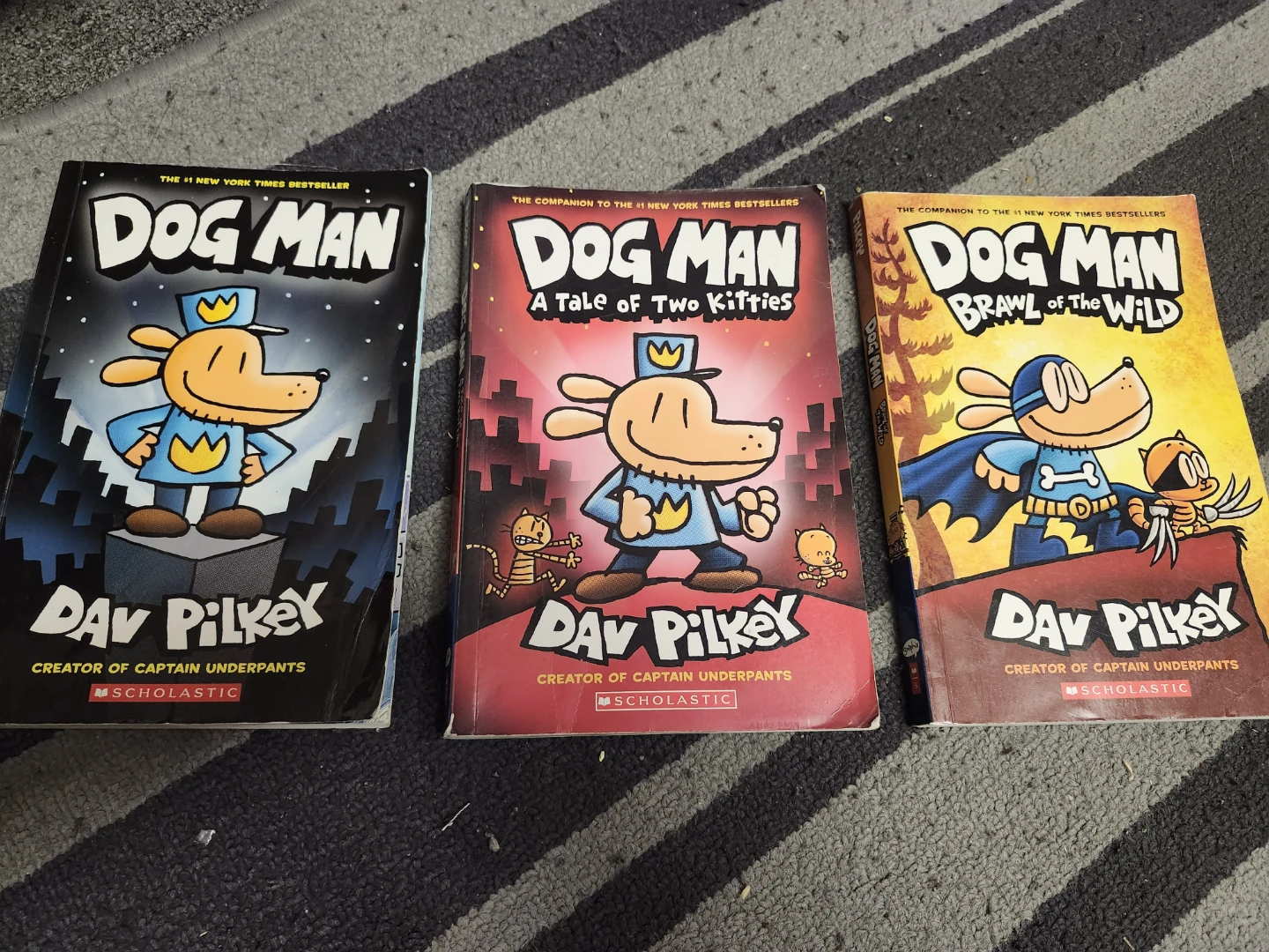 Dog Man Book Series by Dav Pilkey