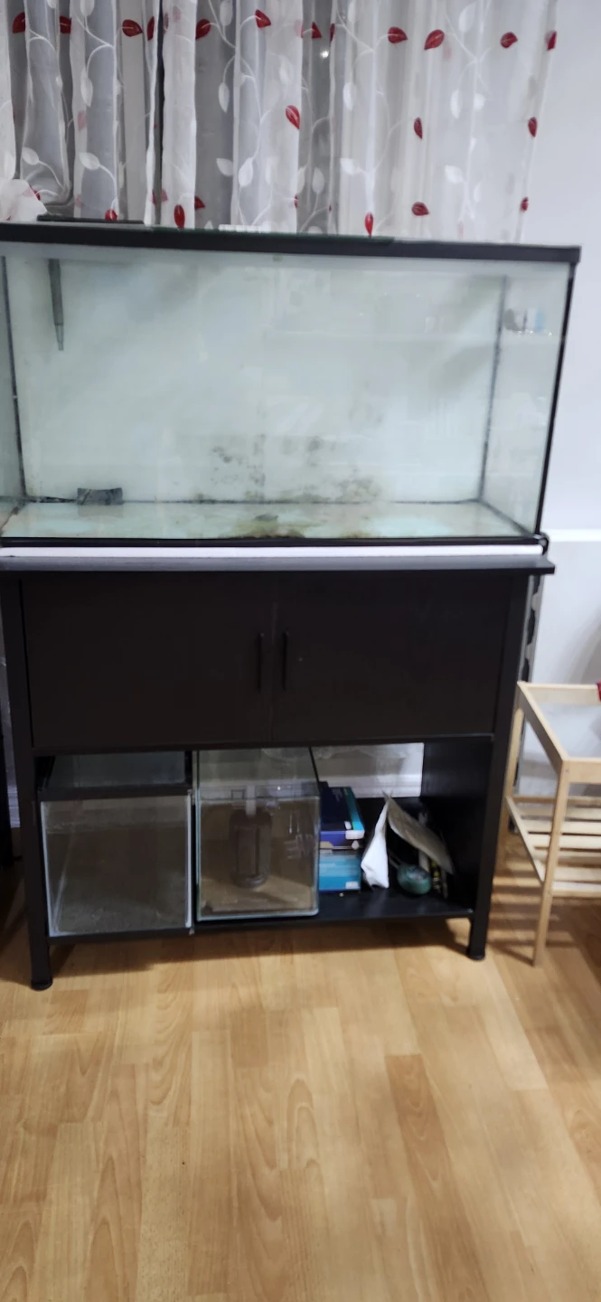 Glass Aquarium for free