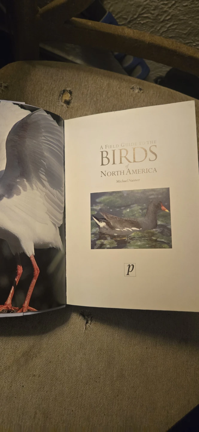 Birds of north America book - photo 3