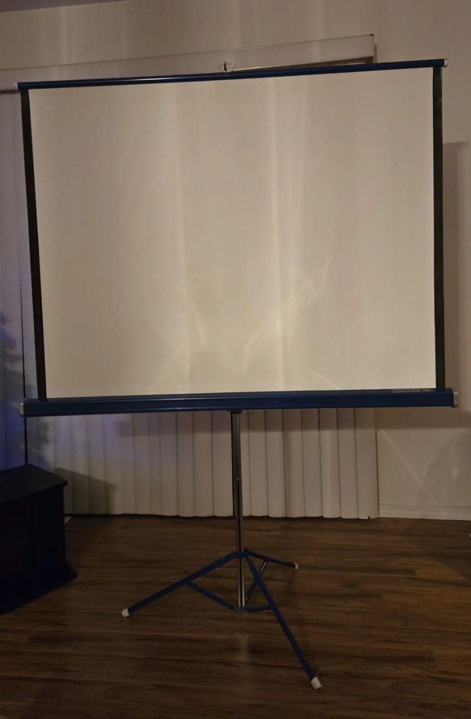 Vintage Da-Lite Flyer Projection Screen