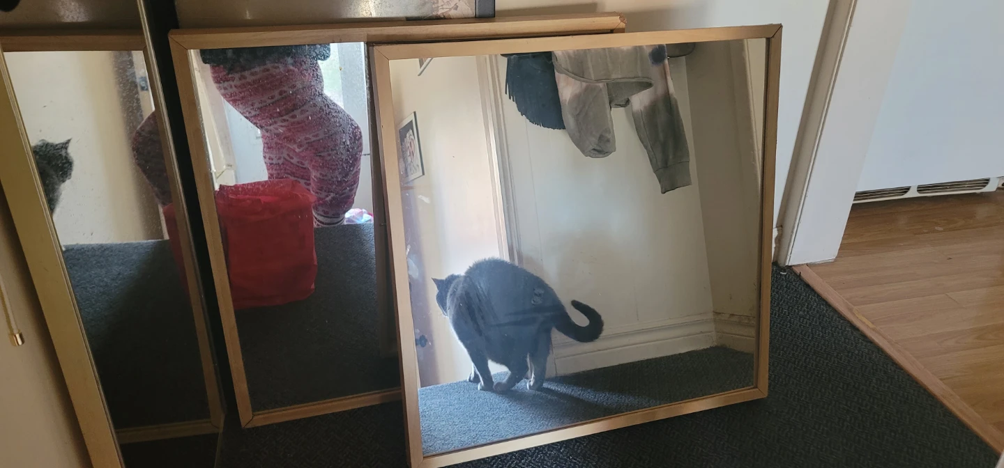 Square Mirror with Wooden Frame