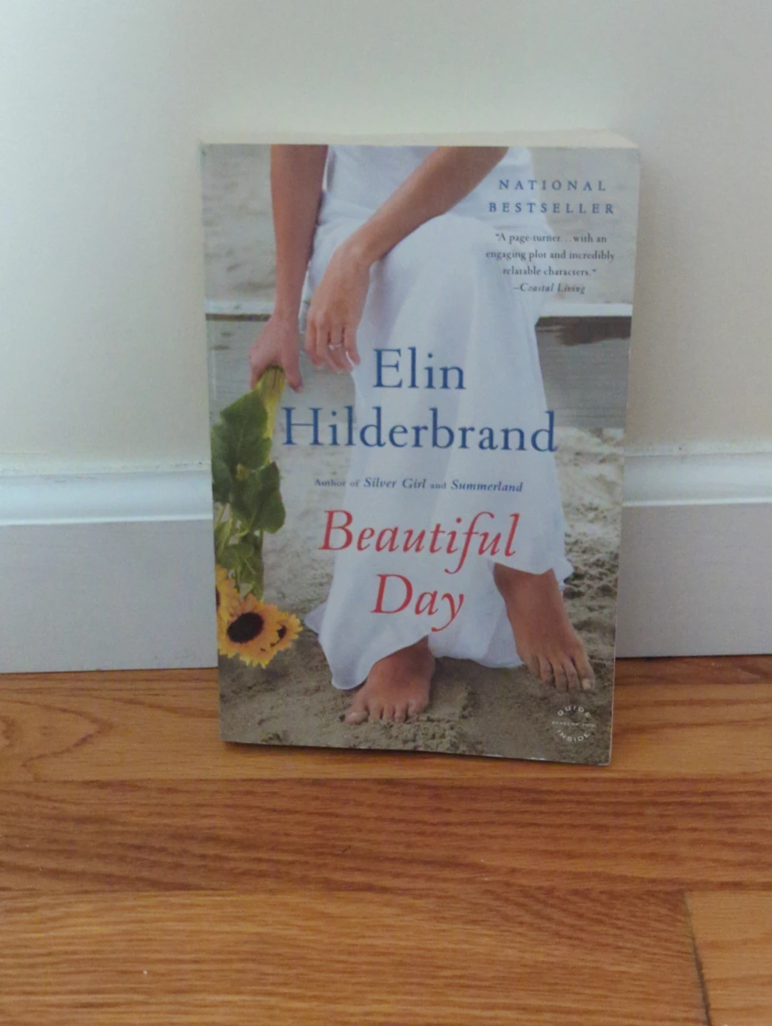 Beautiful Day by Elin Hilderbrand (paperback)