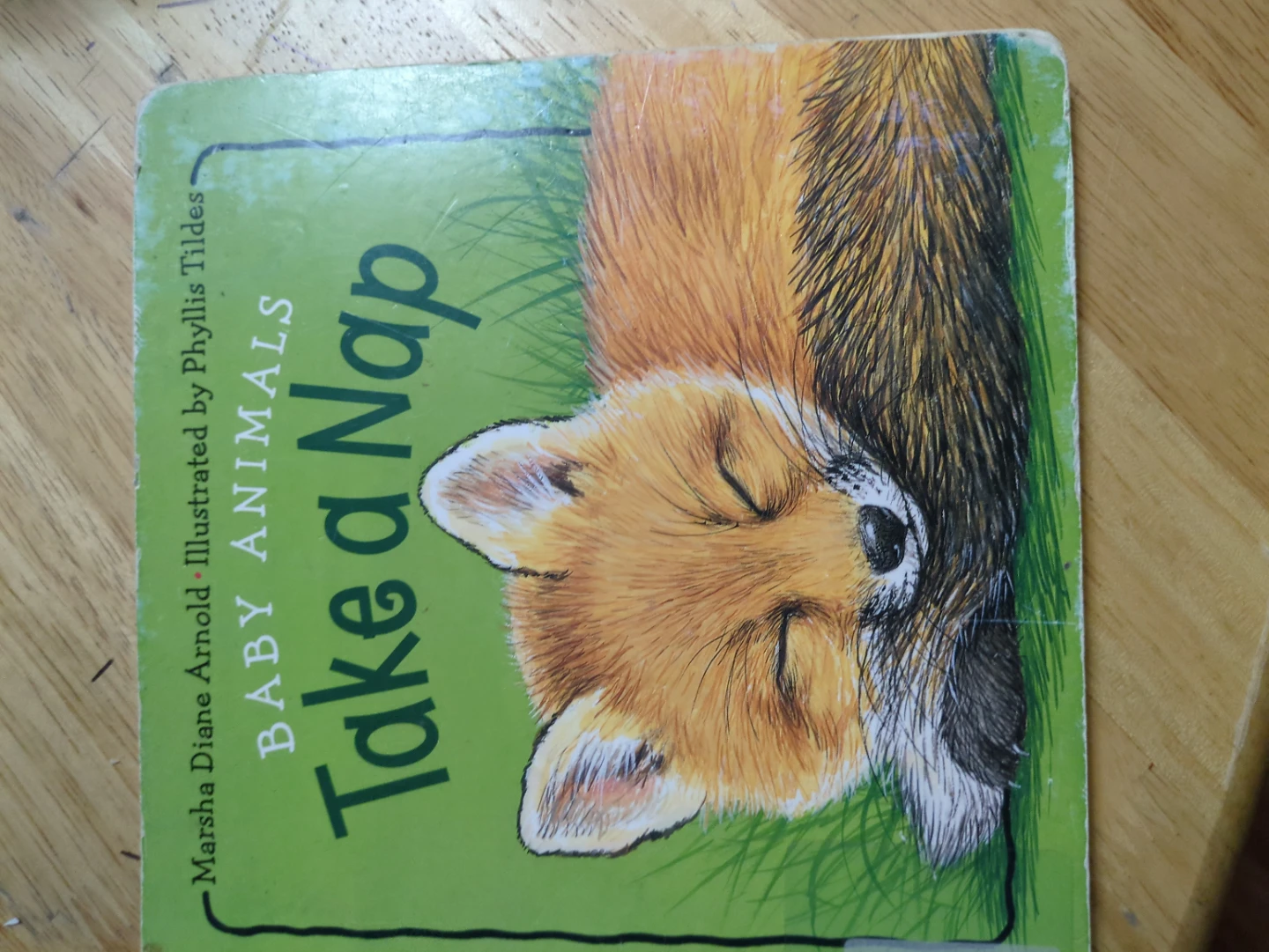 10 Board Books for babies and toddlers - photo 3
