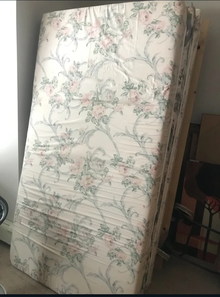 Free Twin Mattress 🥕