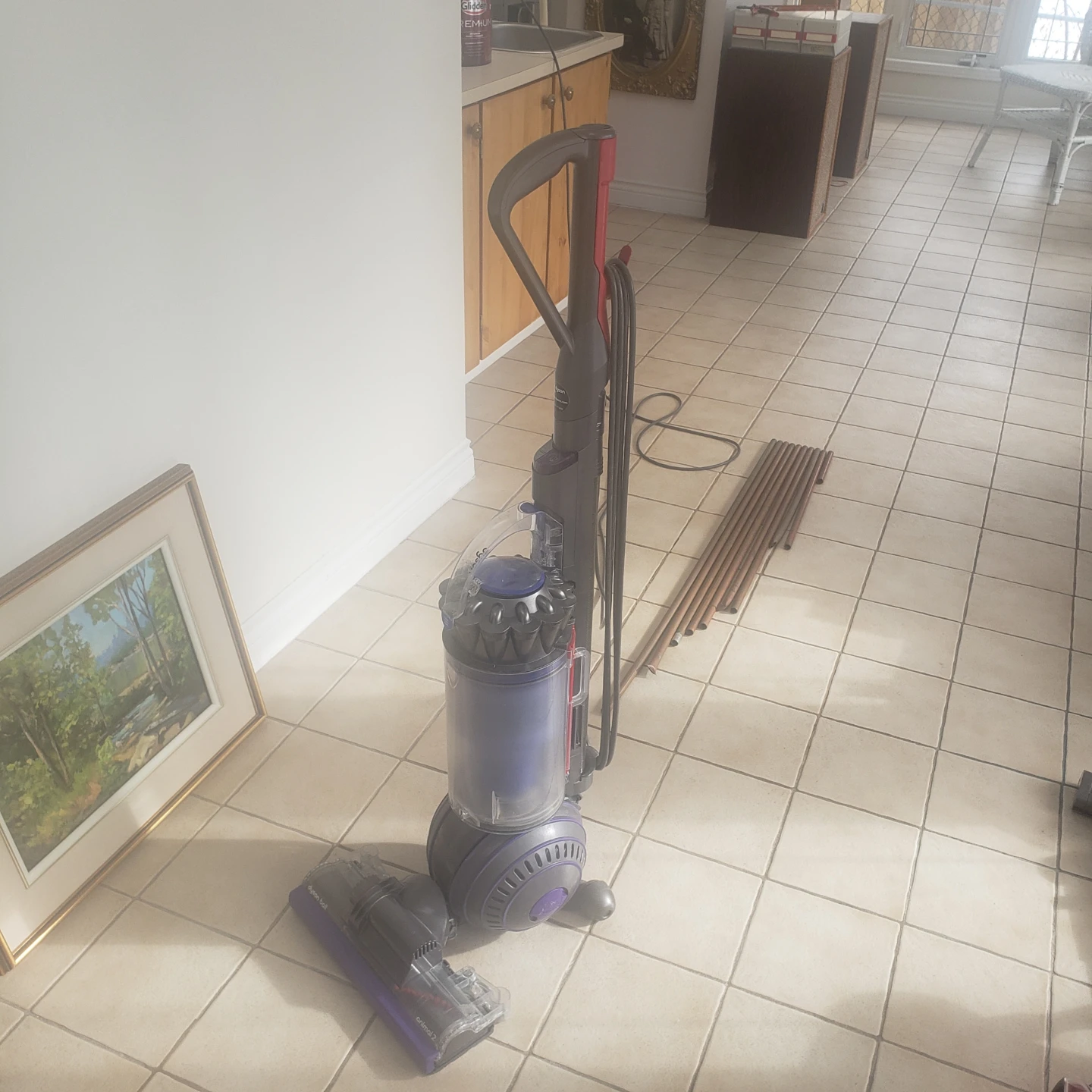 Dyson Ball Animal 2 Vacuum Cleaner - photo 4
