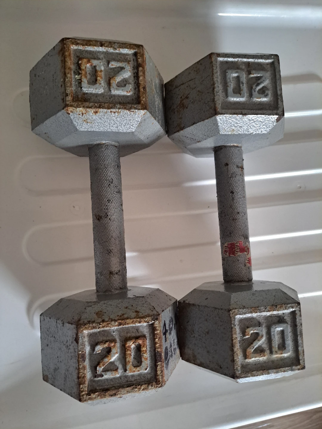 Pair of 20 lb Dumbbells