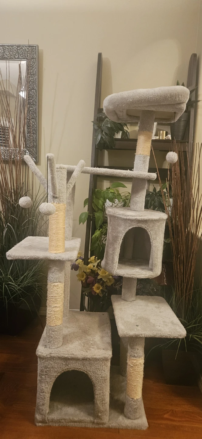 Multi-level Cat Tree Condo with Platforms and Hammock