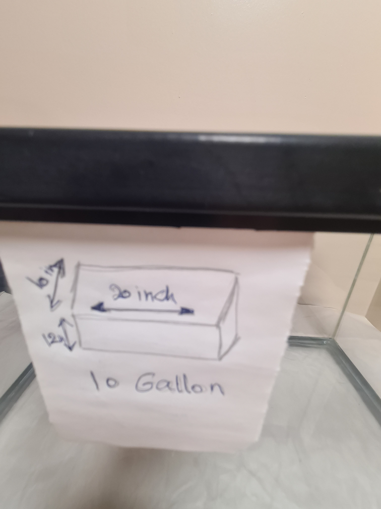 10 Gallon Glass Terrarium/Aquarium Tank - photo 2
