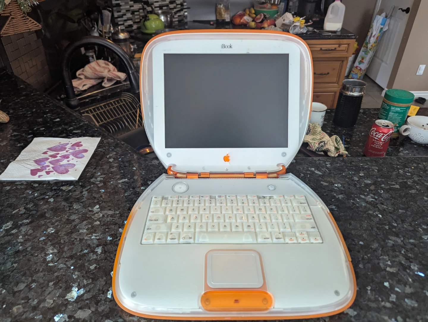 Apple iBook G3 Laptop - tangerien