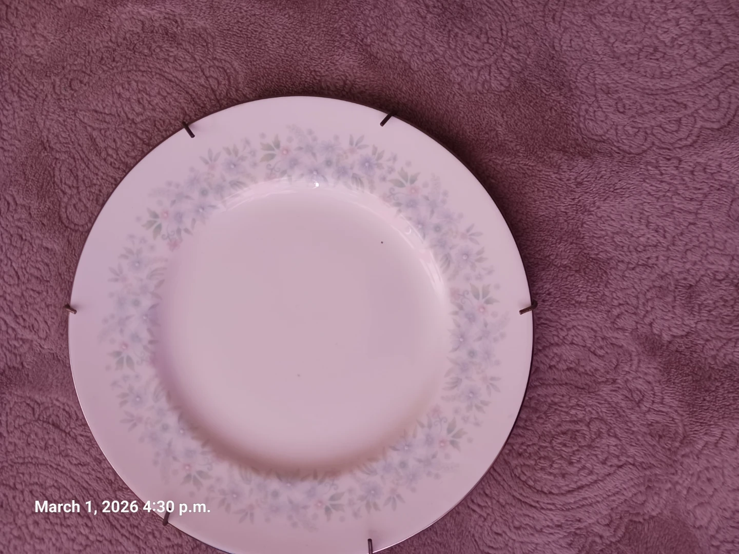 WEDGWOOD Wyndham Bone China Plate - photo 2