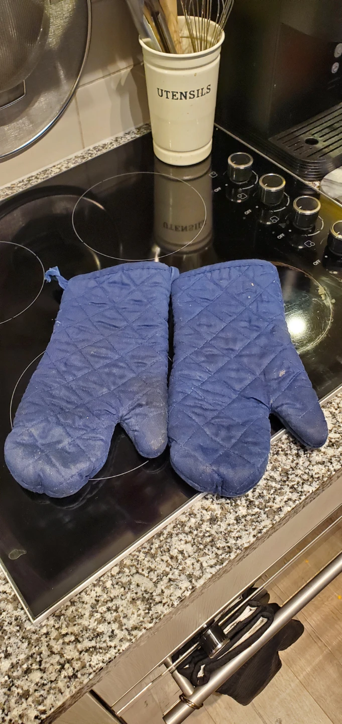 Free Oven Mitts - Used but good condition