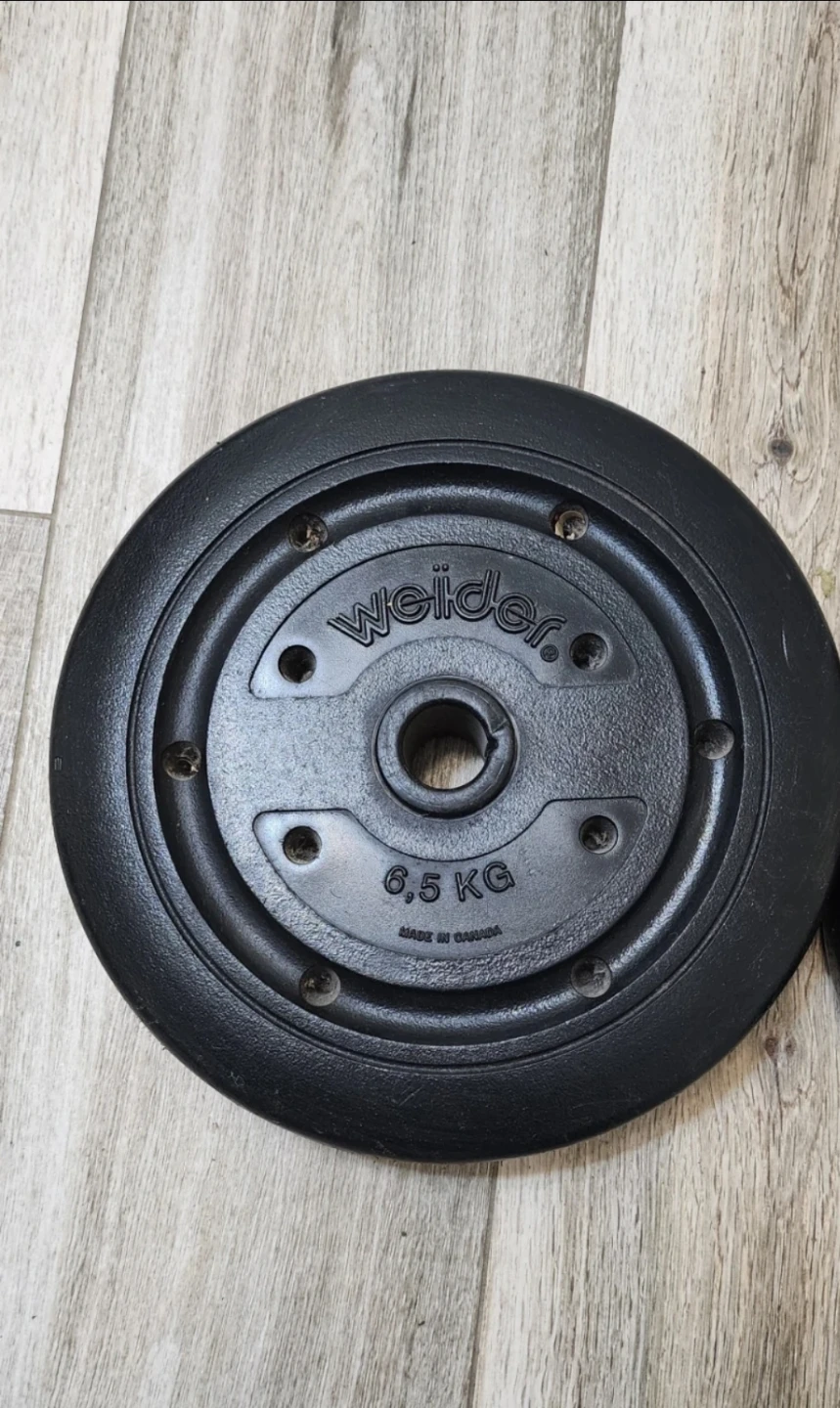 Weider 6.5 KG Weight Plate🥕