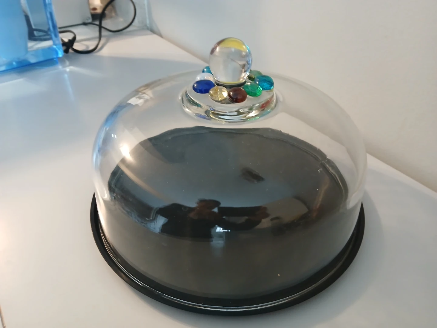Glass Cake Dome Cover with Decorative Knob 12" - photo 4