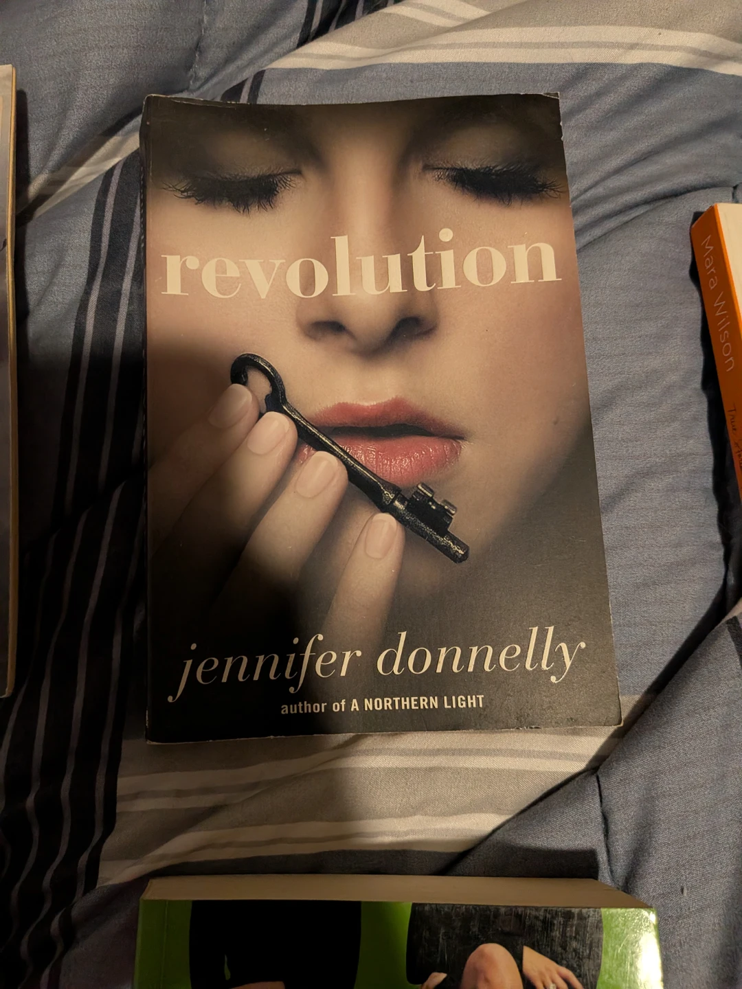 Collection of 7 Young Adult and Adult Books - photo 2