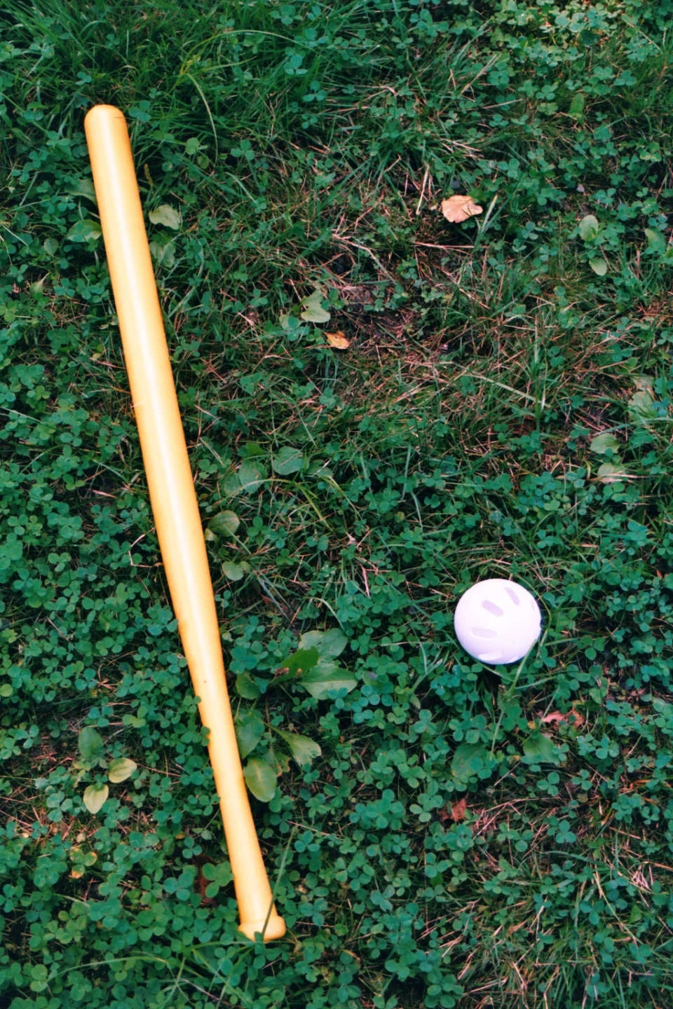 Waffleball bat and ball