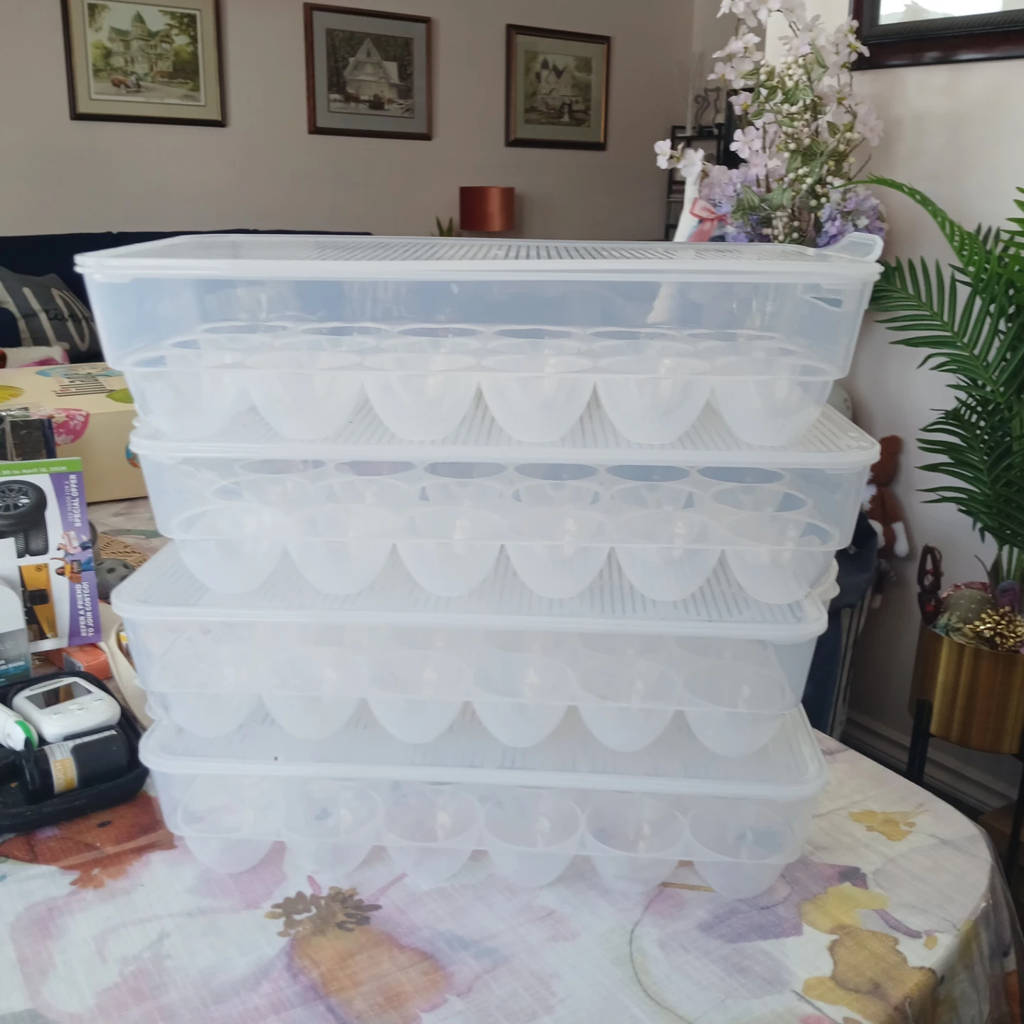 Plastic Egg Storage ( holds 18 eggs)