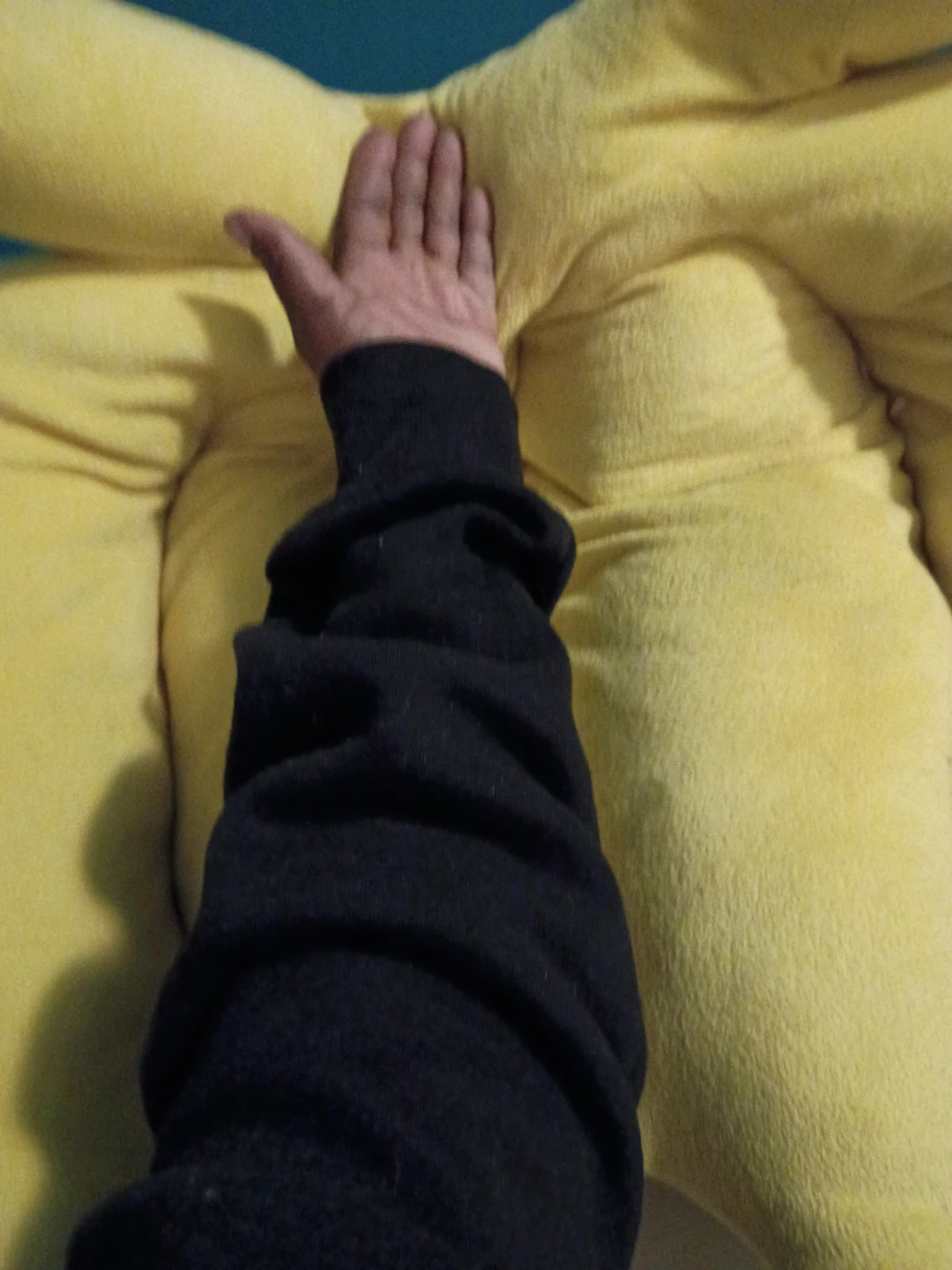 Yellow Bananas Pet Pillow/Bed - photo 3