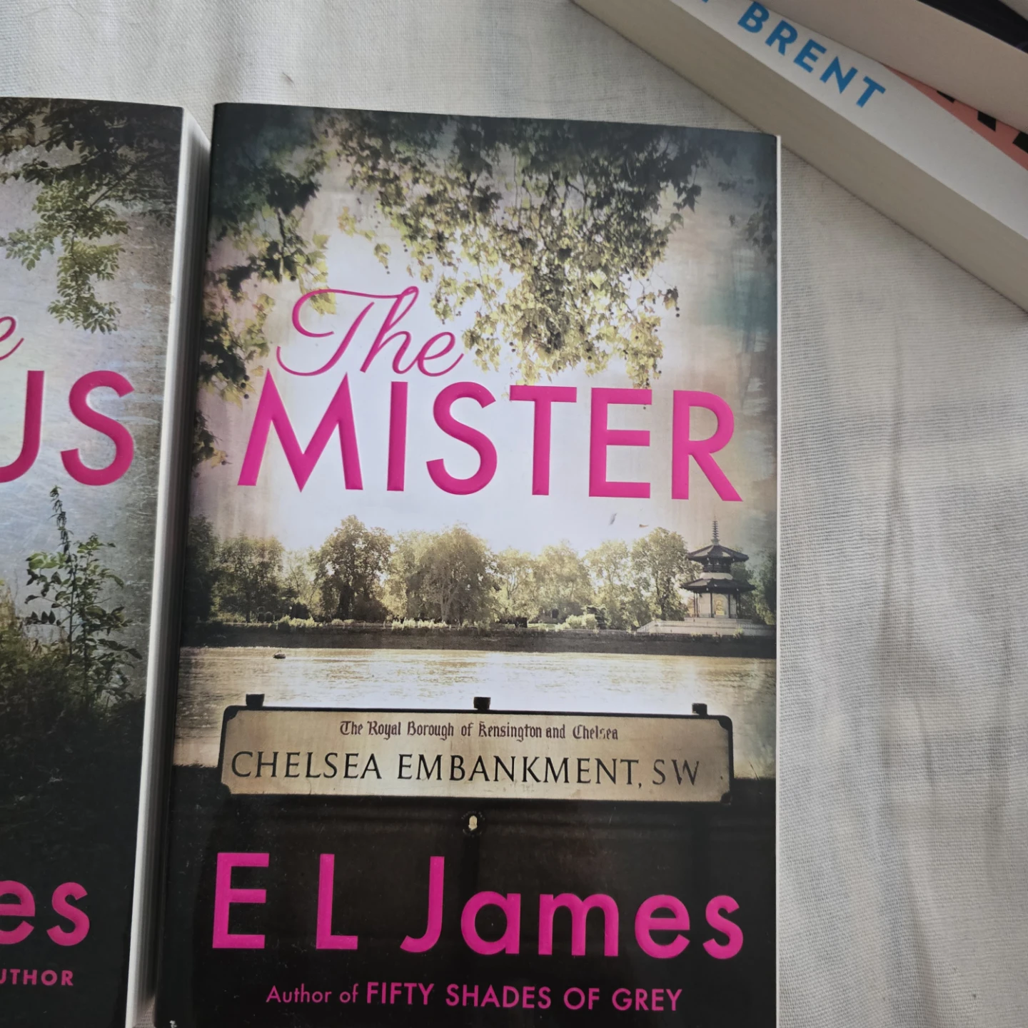 The Mister by E L James Paperback Book
