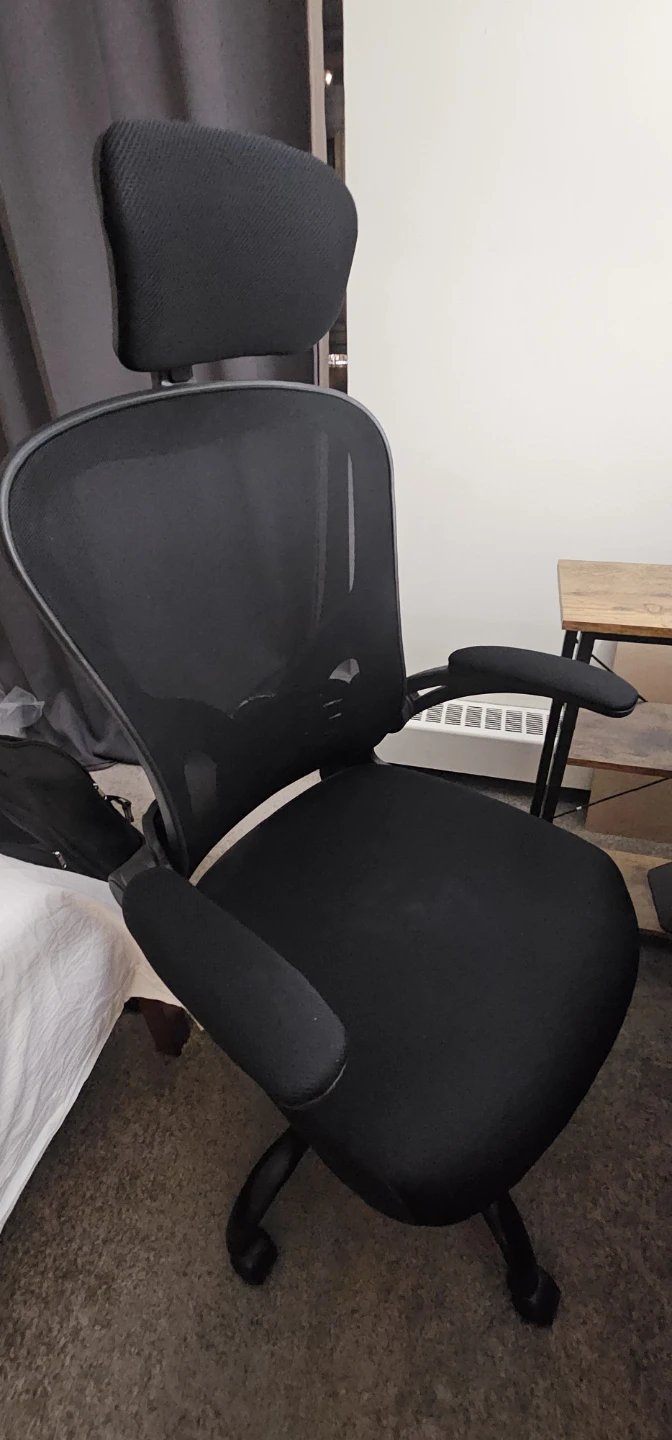 Ergonomic Mesh Office Chair with Headrest