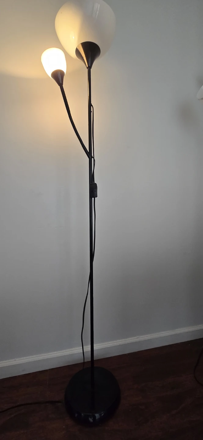 Black Two-Light Floor Lamp - photo 2