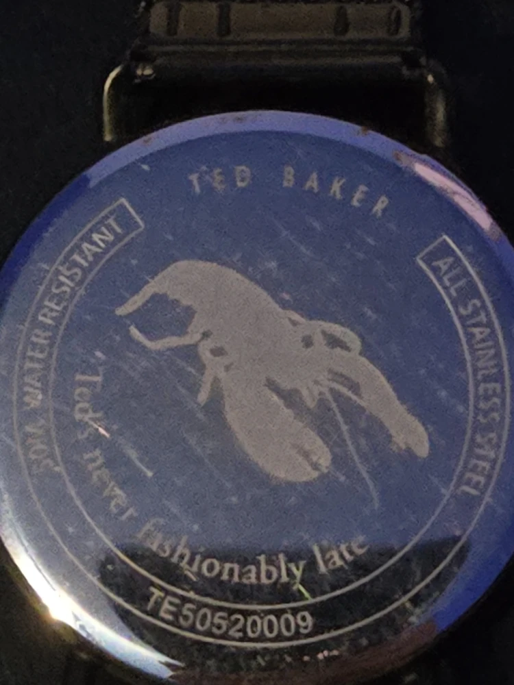 Ted Baker London Watch TE50520009 - photo 3